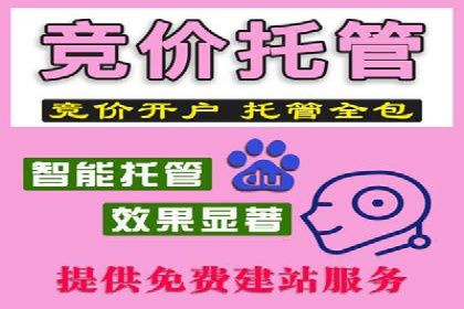百度竞价广告的创意执行与运营效果展示