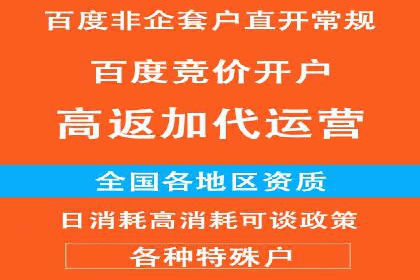 百度推广实战：助力企业快速占领市场份额